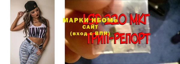 крисы Абдулино
