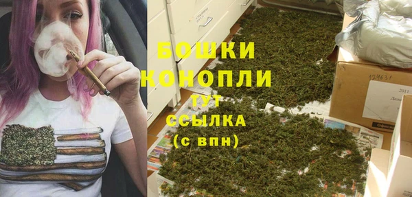 крисы Абдулино