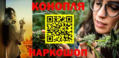 гашик Кунгур