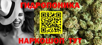 гидропоника Кулебаки