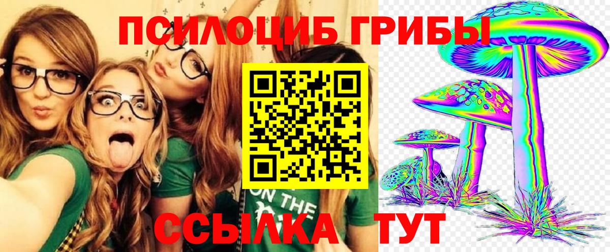 Галлюциногенные грибы GOLDEN TEACHER Дальнереченск